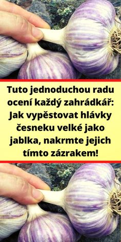 two pictures of garlic being held by someone's hand with the caption that reads,