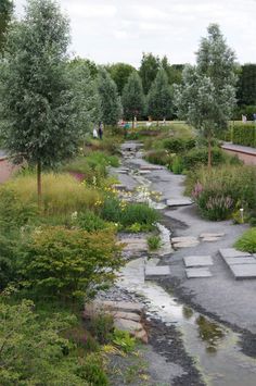 a river running through a lush green park