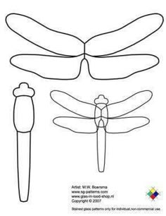 an image of dragonflies with wings and legs