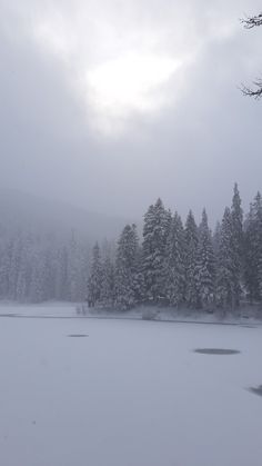 the snow is covering the trees and water in the distance, as seen from across the frozen lake