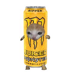 Sad cat in a can, monster, juice, ripper, yellow Cat Objects, Beef Tongue, Cat Icon, Energy Drink, Funny Profile Pictures