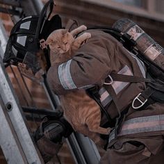 a fireman is climbing up the stairs with his cat on his back and it's head hanging down