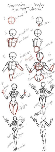 how to draw the human figure