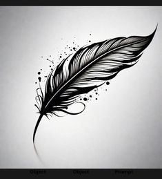 a black and white drawing of a feather