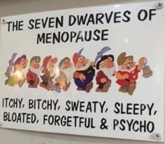 Funny Day Quotes, 7 Dwarfs, Funny Cartoons Jokes, Funny Quotes Sarcasm, Funny Jokes For Adults, Funny Thoughts, Best Pics, Seven Dwarfs