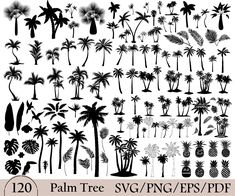 palm tree silhouettes and clippings for photoshopped, cutouts or paper cutting