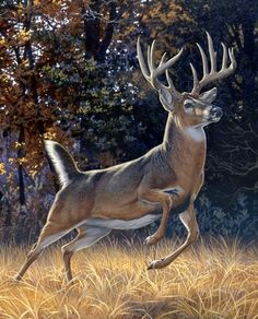 a painting of a deer running through the grass