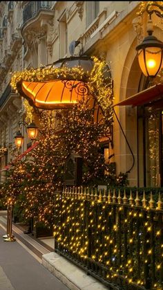 christmas lights adorn the side of a building