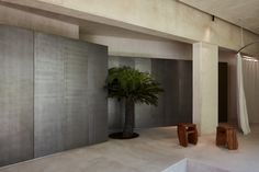 a tree in a room with concrete walls