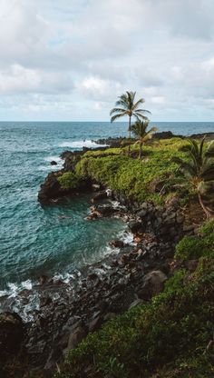 an island with palm trees on the shore