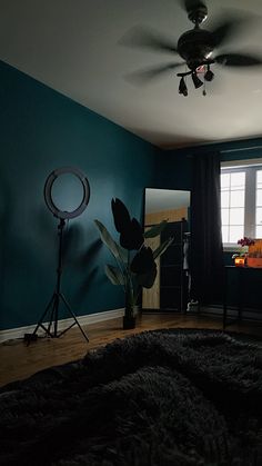 a living room with blue walls and a black rug in front of a fan on the ceiling