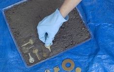 a person in blue gloves is digging dirt with tools