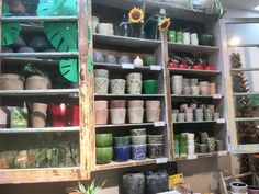 the shelves are filled with pots and plants