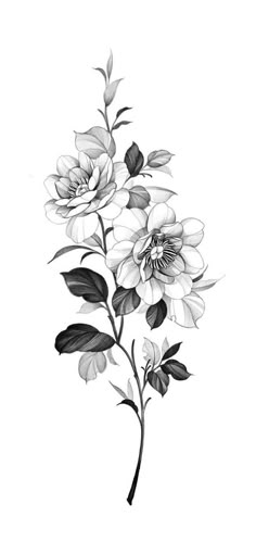 a black and white drawing of flowers