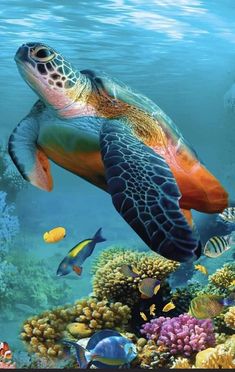 a painting of a turtle swimming in the ocean with fish around it and corals