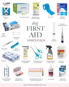 the first aid essentials are shown in this graphic above it's title text