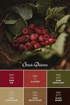 a basket filled with raspberries next to green leaves and red berries in the center