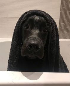 a black dog in a bathtub with a towel on its head and eyes looking at the camera