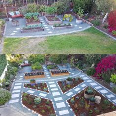 an aerial view of a garden with various plants in the center and on the other side