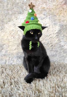 a black cat wearing a green knitted christmas hat