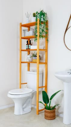 a bathroom with a toilet, sink and shelving unit next to a plant in a basket