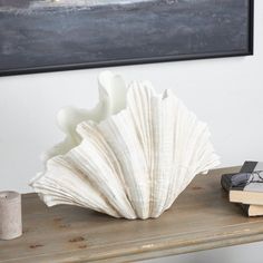 a large white shell sitting on top of a wooden table