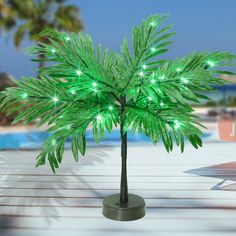 a small palm tree with green lights on it