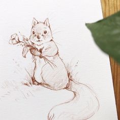 a drawing of a squirrel holding a flower