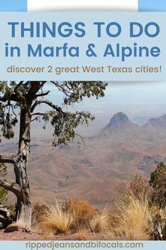 a tree with the words things to do in marfa and alpine above it