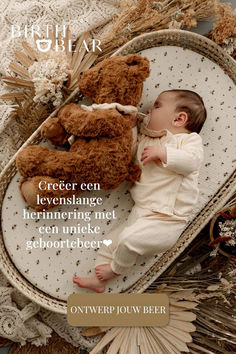 geboortebeer Baby Vans, Grizzly Bear, Panda Bear, Polar Bear, Teddy Bear, Beer