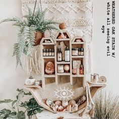 a shelf filled with lots of different types of items next to a potted plant