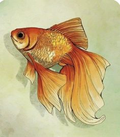 a goldfish is shown on a green and white background with watercolors in the foreground