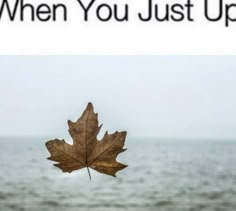 a maple leaf floating in the air with an inspirational quote above it that reads, when you just up