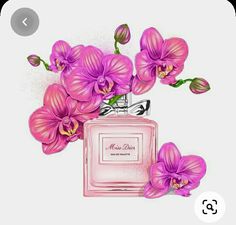 a drawing of pink flowers and a perfume bottle with the words miss dior written on it