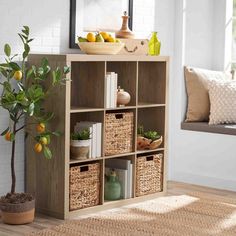 a living room filled with lots of furniture next to a window and a potted plant