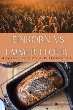 Above: wheat in a field, Below: A freshly baked bread in a cast iron loaf pan. Making Sourdough Bread, Einkorn Flour, Whole Grain Flour, Types Of Flour, Wheat Berries, Spelt Flour, Ancient Grains, Yeast Bread, Wheat Flour