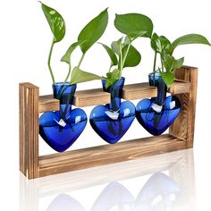 three blue vases with plants in them on a wooden shelf against a white background