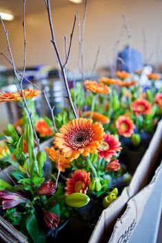 many flowers are in a box on the table