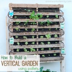 a wooden pallet filled with lots of plants