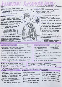 a handwritten paper with an image of the human body and its major organs on it