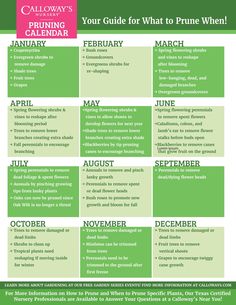 a green and pink calendar with the words, your guide for what to prime when