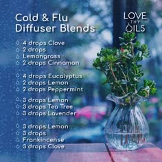 Diffuser Blend For Colds, Sinus Infection Diffuser Blend, Germ Diffuser Blend Essential Oils, Essential Oil Blends For Stuffy Nose, Essential Oil Blends For Diffuser Sick, Sick Essential Oils Diffuser, Sinus Essential Oils Diffuse, Fever Diffuser Blend, Diffuser Blend To Kill Germs