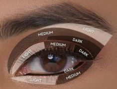 Makeup Hacks Eyeshadow Tips And Tricks, Eyeshadow Shades For Brown Eyes, Order Of Eye Makeup Application, Beach Pictures Makeup, Eyeshadow Application Charts, Makeup Application Tips, How To Apply Smokey Eyeshadow, Makeup Application For Beginners, Smokey Eye Beginner