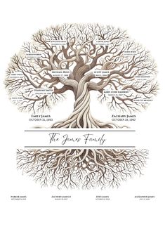 the family tree is shown with names and pictures for each individual's roots in it