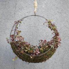 a hanging planter filled with green plants on top of a cement floor next to a wall