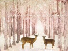 two deer standing next to each other in the snow covered forest with trees behind them