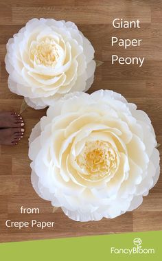 giant paper peony from crepe paper