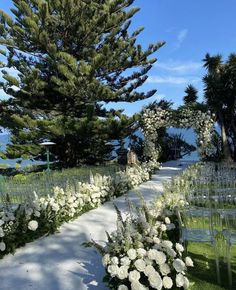 an outdoor ceremony setup with white flowers and greenery on the grass, surrounded by pine trees