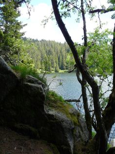 a lake surrounded by trees and rocks in the woods