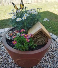 a potted plant with flowers and a bird house in it on the ground next to some rocks